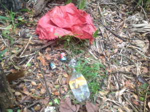 Trash left behind in the STNP